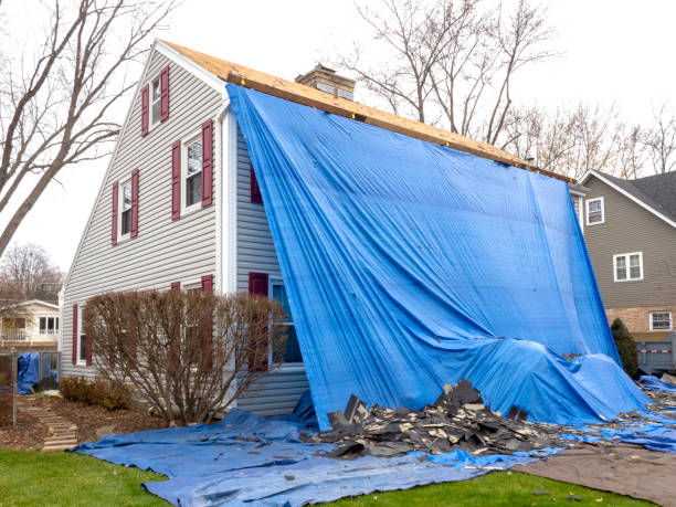 Affordable Siding Repair and Maintenance Services in Appleton, WI