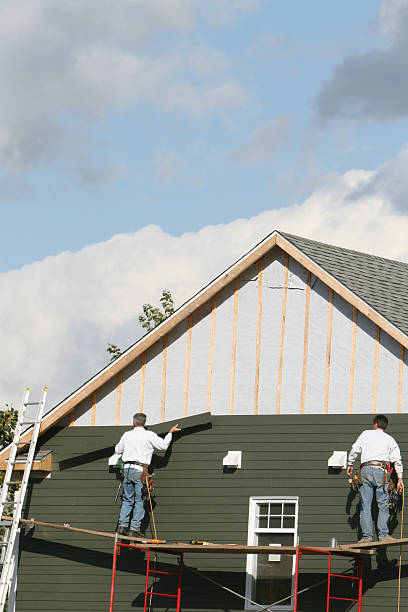 Best Insulated Siding Installation  in Appleton, WI